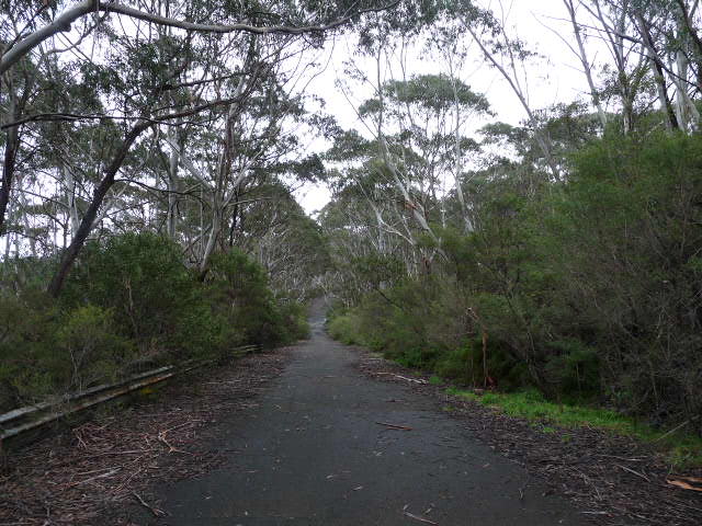 Race track at the Gully, Katoomba